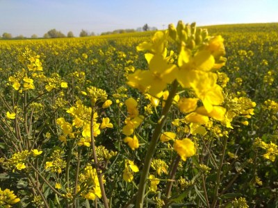 Holiday house No title - Environment photo 32