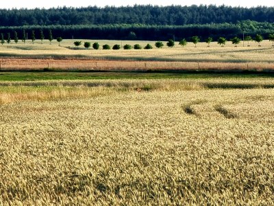 Holiday house No title - Environment photo 33