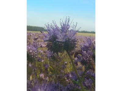 Holiday house No title - Environment photo 37