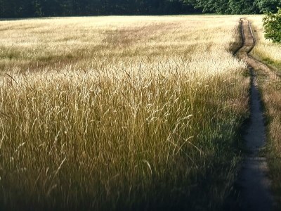 Holiday house No title - Environment photo 38