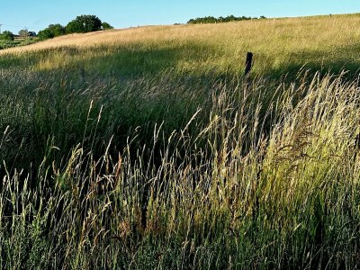 Holiday house No title - Environment photo 39