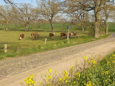 Holiday house No title - Environment photo 40