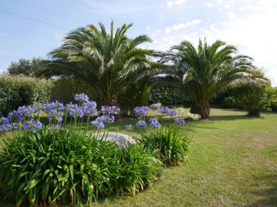 Holiday house Holiday Home in Plouneour near Sandy Beach - Outdoor photo 4