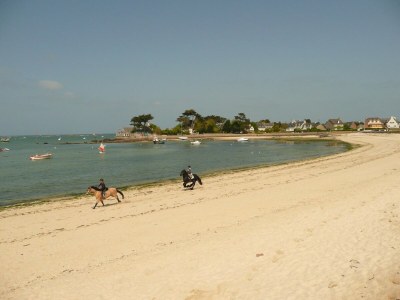 Holiday house Holiday Home in Plouneour near Sandy Beach - Environment photo 21