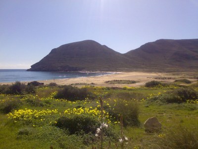 Holiday house La Era - Environment photo 24