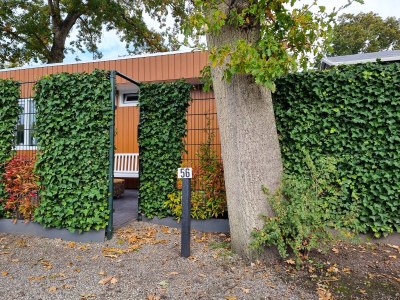 Holiday house ZO04 Holiday Home Zoutelande - Outdoor photo 9