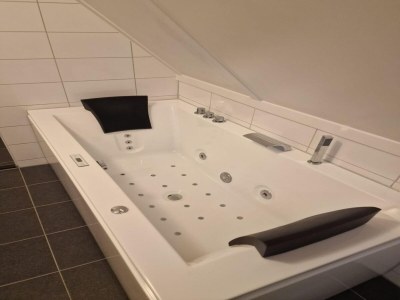 Holiday house Ferienhaus in Scherpenisse - Features photo 21