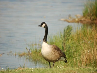 Holiday house Holiday Home in Stramproy with Garden - Outdoor photo 30