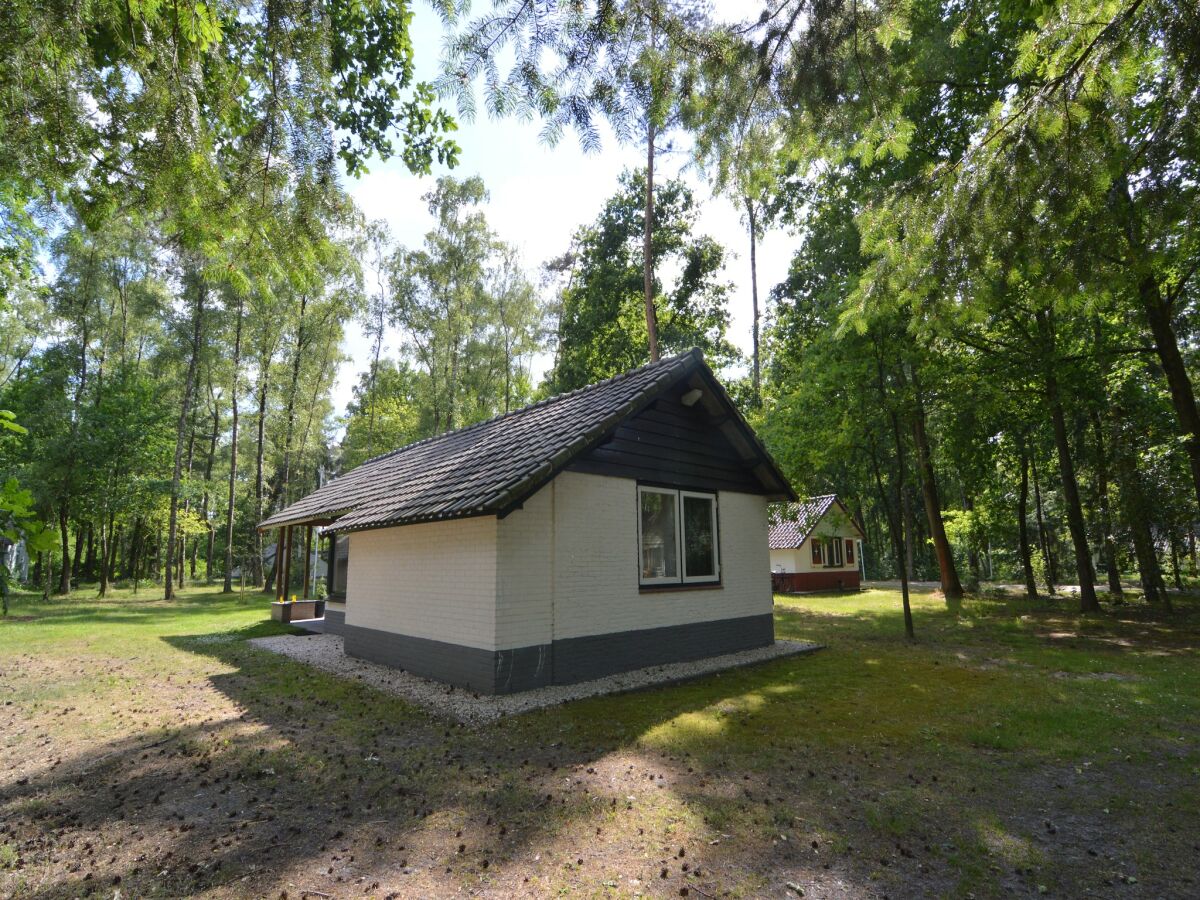 Holiday house Ferienhaus in Stramproy am Naturreservat - Outdoor photo 3