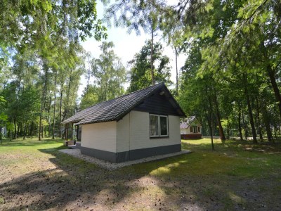 Holiday house Ferienhaus in Stramproy am Naturreservat - Outdoor photo 3