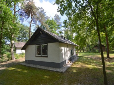 Holiday house Ferienhaus in Stramproy am Naturreservat - Outdoor photo 4