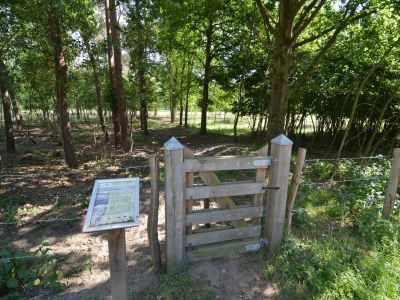 Holiday house Ferienhaus in Stramproy am Naturreservat - Environment photo 25