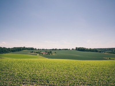 Holiday park Bungalow near Valkenburg - Environment photo 11