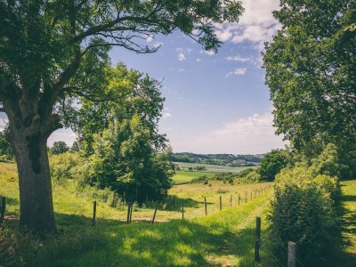 Holiday park Bungalow near Valkenburg - Environment photo 12