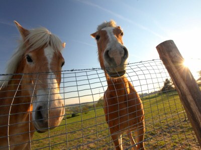 Holiday park Bungalow near Valkenburg - Outdoor photo 17