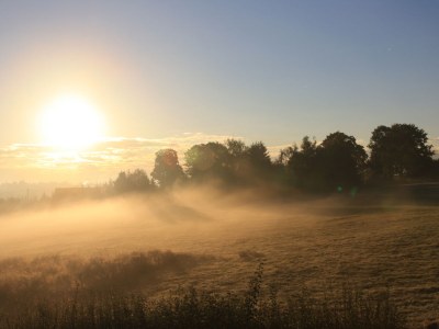Holiday house 2 auf dem Ferienhof Zollfrank - Environment photo 30
