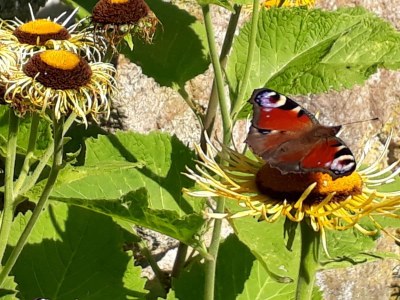 Holiday house 2 auf dem Ferienhof Zollfrank - Environment photo 32