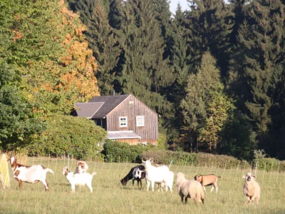 Holiday house 2 auf dem Ferienhof Zollfrank - Environment photo 35