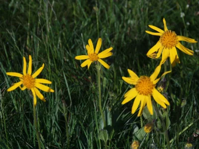 Holiday house 2 auf dem Ferienhof Zollfrank - Environment photo 36