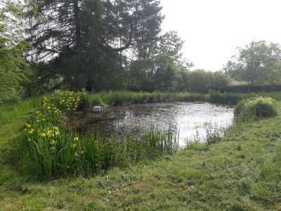 Holiday house 2 auf dem Ferienhof Zollfrank - Environment photo 38