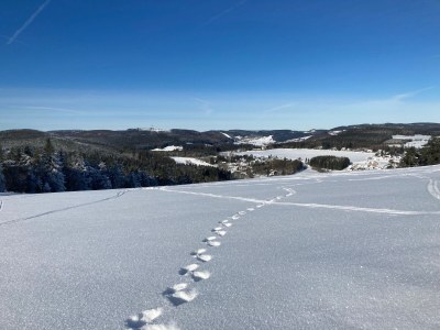 Chalet Mountain view - Environment photo 28