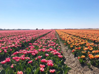 Holiday house Dopheide 4 - Environment photo 21