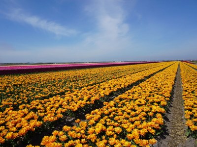 Holiday house Dopheide 4 - Environment photo 22