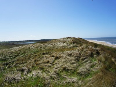 Holiday house Dopheide 4 - Environment photo 24