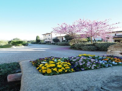 Apartment Pretty Apartment near San Gimignano - Outdoor photo 6