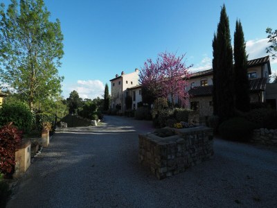 Apartment Pretty Apartment near San Gimignano - Outdoor photo 11
