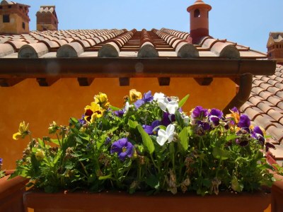 Apartment Pretty Apartment near San Gimignano - Outdoor photo 40