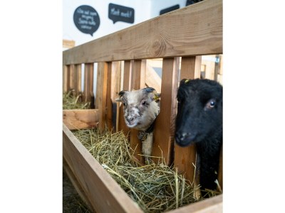 bio farm New! Hayloft Vista - Outdoor photo 7