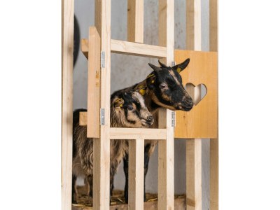 bio farm New! Hayloft Vista - Outdoor photo 8