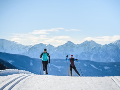bio farm New! Hayloft Vista - Environment photo 32