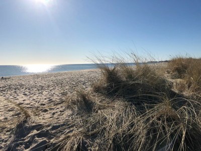Holiday house Ferienhaus Meerhaus Olpenitz - Environment photo 20