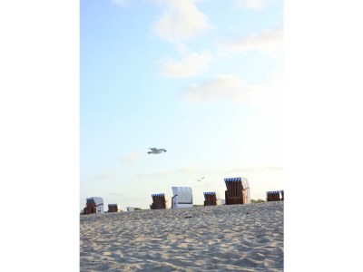 Holiday house Ferienhaus Meerhaus Olpenitz - Environment photo 22