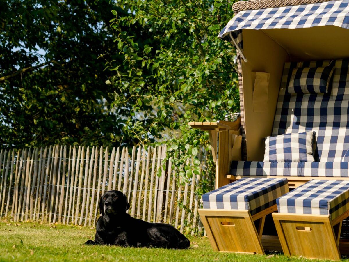 Holiday house Weiße Kate - Outdoor photo 3