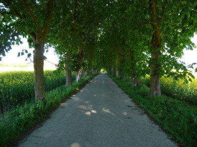 Holiday house Weiße Kate - Environment photo 16