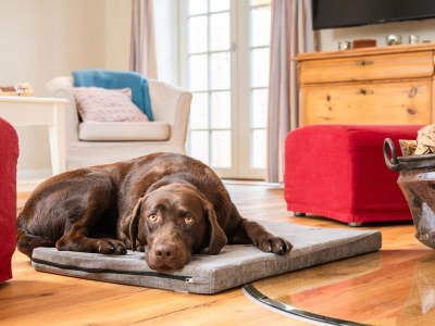 Holiday house Weiße Kate - Outdoor photo 33