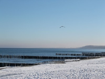 Apartment Modernes Apartment in Kühlungsborn mit Garten - Environment photo 14