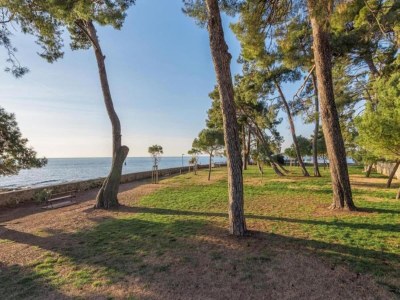 Holiday house Villa in Novigrad mit Pool und Strandnähe - Environment photo 36