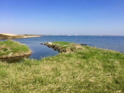 Apartment Apartment in Kamperland near Veerse Meer - Environment photo 23