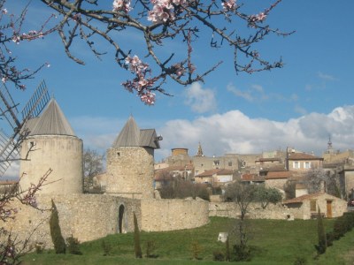 Holiday house Charming holiday home "Mon RÃªve" - Environment photo 23