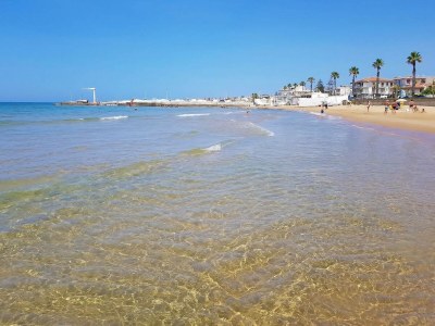 Villa Terra Forte - Environment photo 33