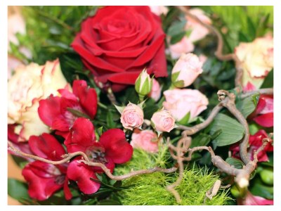 Apartment Apartment/1 Schlafraum/Dusche, WC, Top 3 - Features photo 20