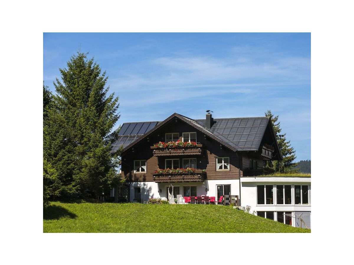 Apartment Apartment/1 Schlafraum/Dusche, WC, Top 4