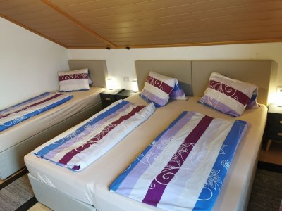 Holiday house Apartment in Hippach with Mountain Views - Features photo 23