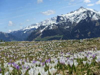 Holiday house Apartment in Hippach with Mountain Views - Environment photo 29
