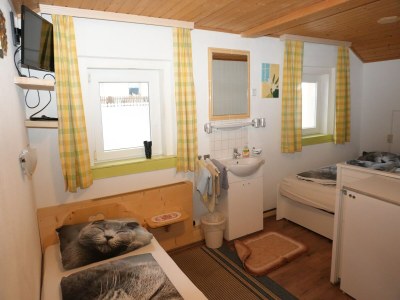 Holiday house Apartment in Hippach with Mountain Views - Outdoor photo 31