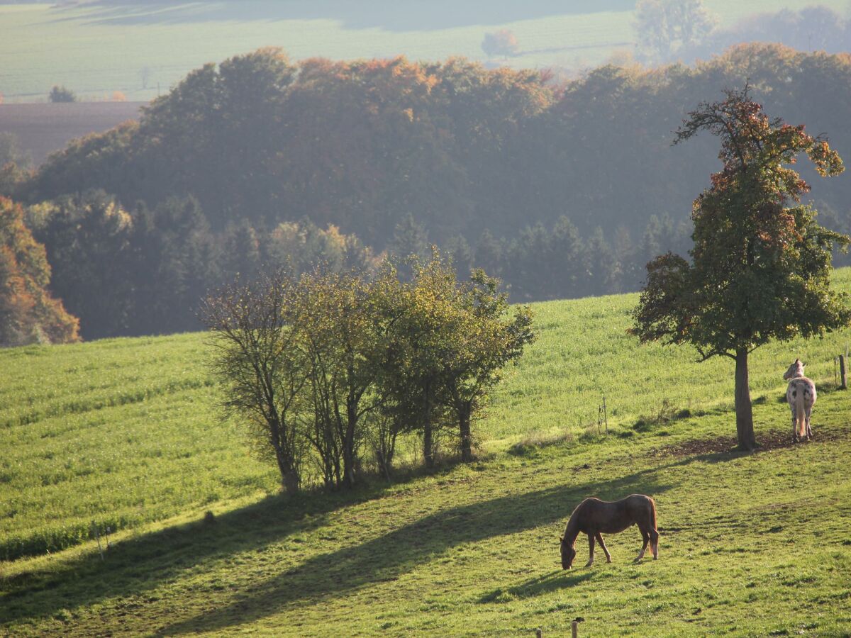 Apartment 6-Betten Ferienhaus "Herrenhaus"